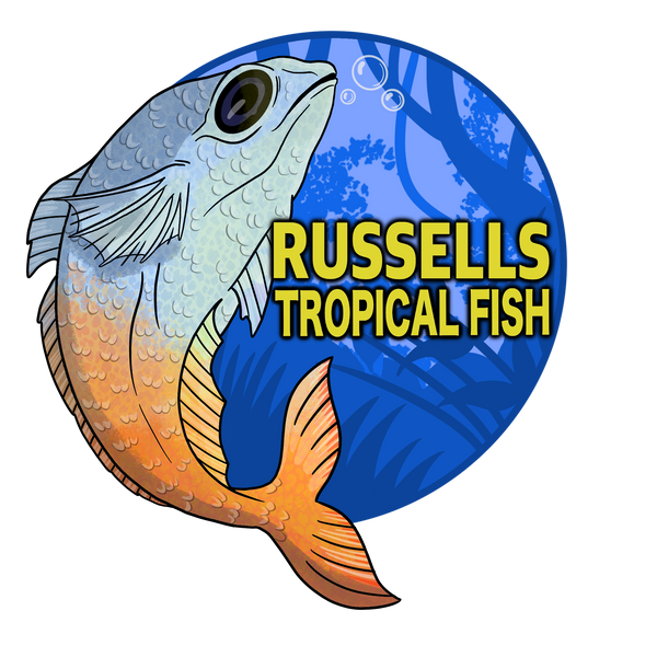 Russells Tropical Fish and Pet
