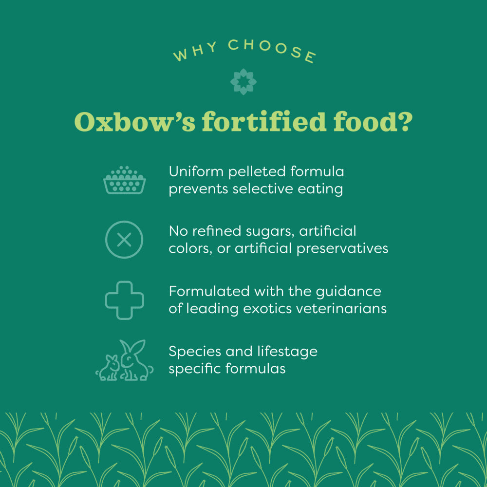 Oxbow Essentials Senior Guinea Pig Food