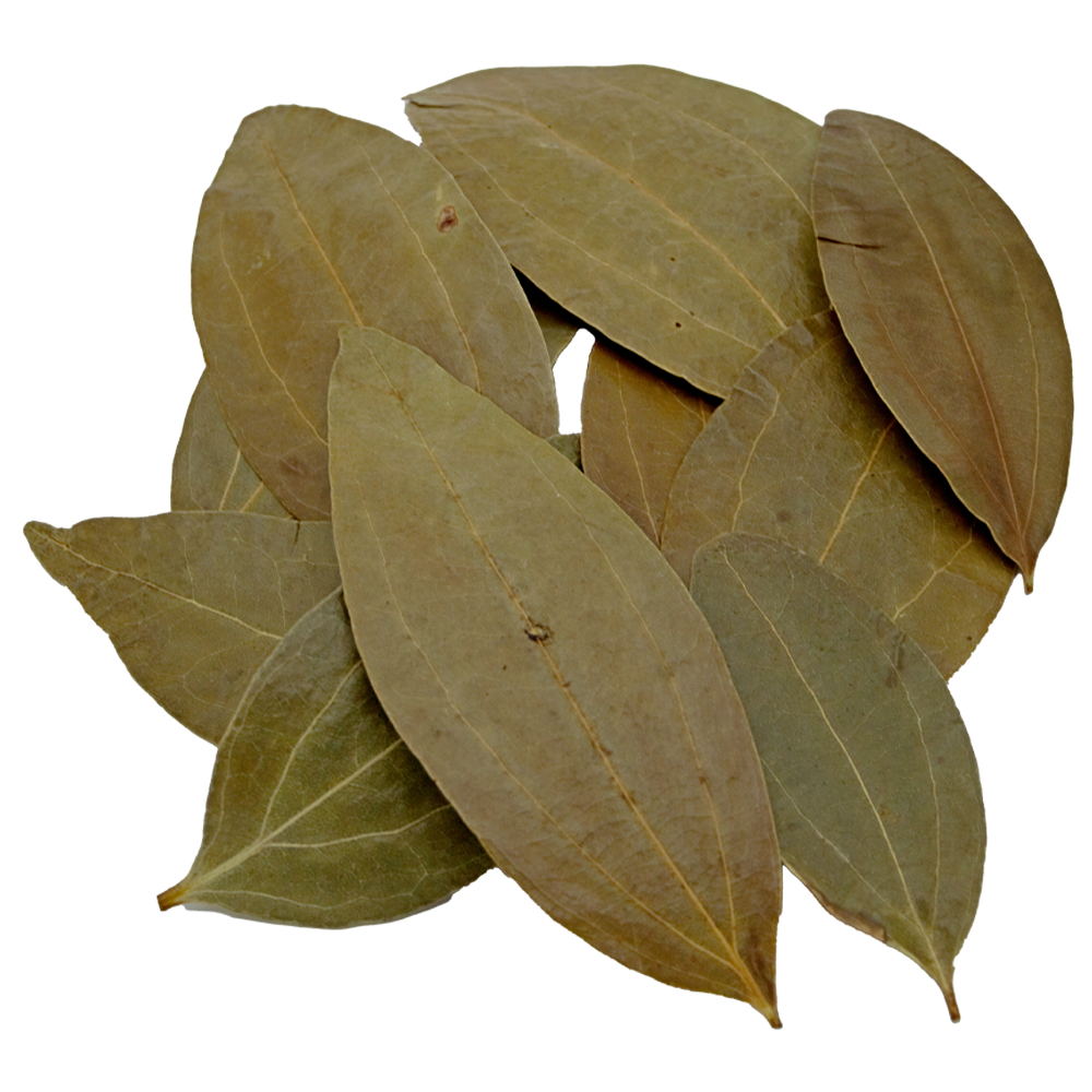 HydrOasis Cinnamon Leaves | 10 ct