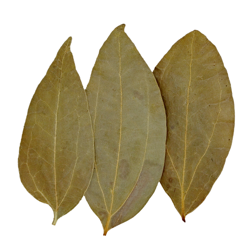 HydrOasis Cinnamon Leaves | 10 ct