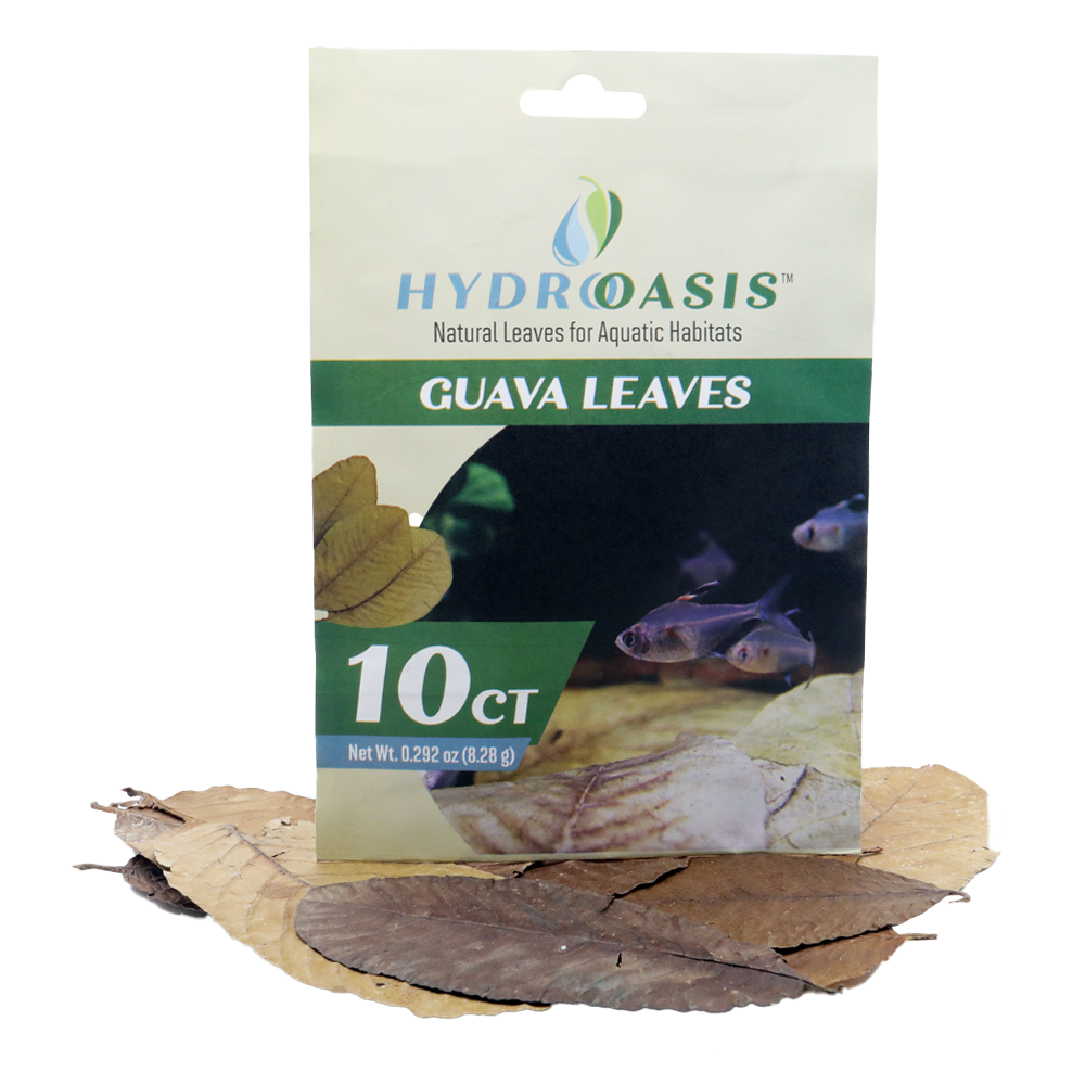 HydrOasis Guava Leaves | 10 ct