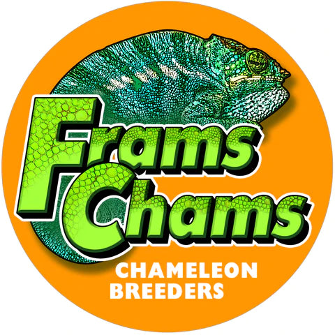 FramsChams Chameleon Shopping List