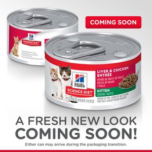 Science Diet Kitten Canned Cat Food, Liver & Chicken Entree