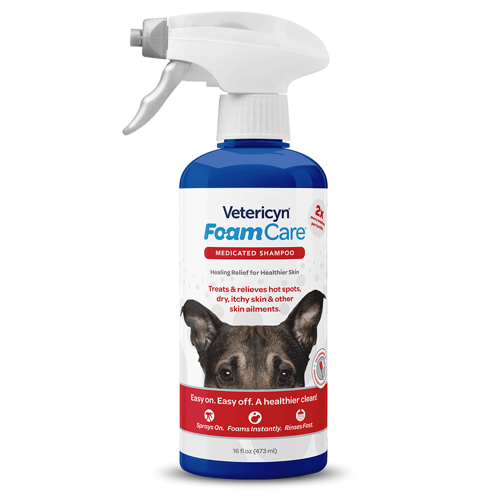 FoamCare Pet Shampoo