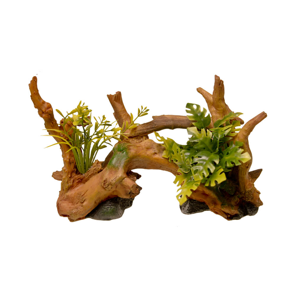 Exotic Environments Driftwood Centerpiece with Plants