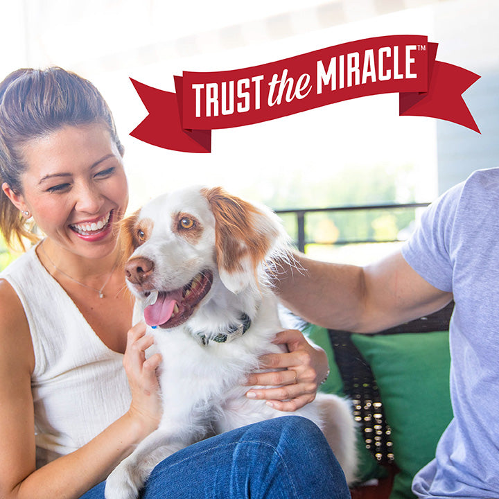 Nature's Miracle Advanced Stain and Odor Eliminator for Dogs