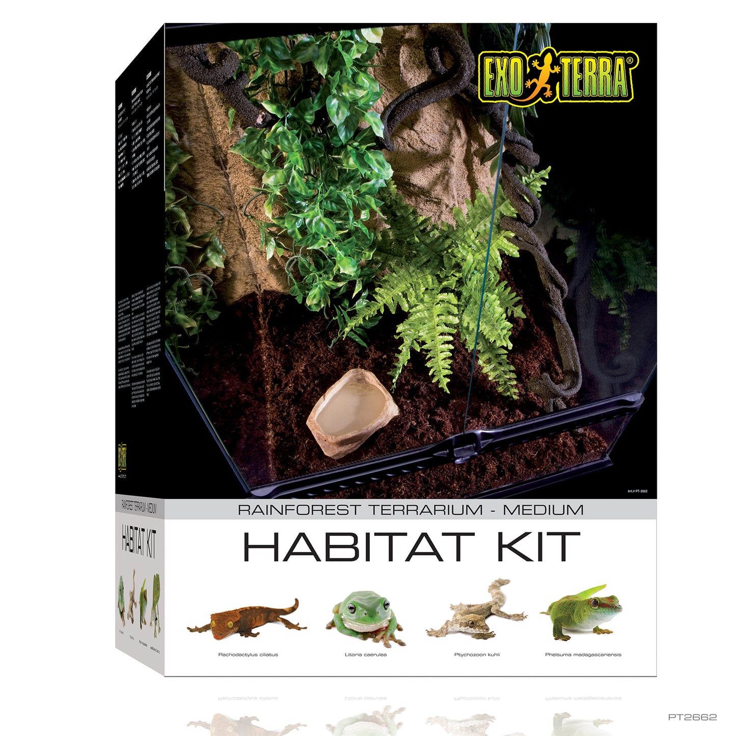 Exo Terra Rainforest Habitat Kit | Medium