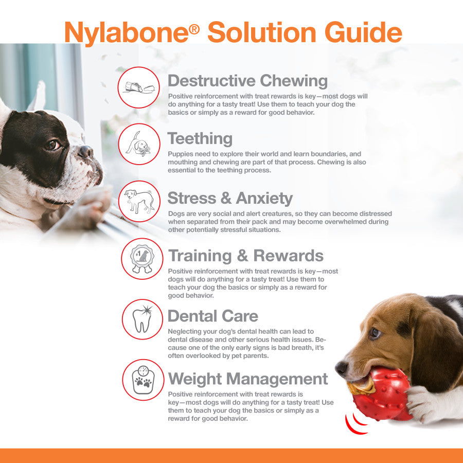 Nylabone Power Chew Femur Dog Bone Alternative