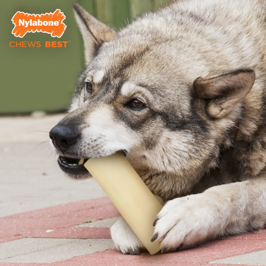 Nylabone Power Chew Giant Marrow Bone Alternative Beef Flavor Dog Chew Toy