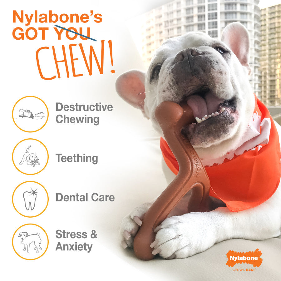 Nylabone Power Chew Femur Dog Bone Alternative