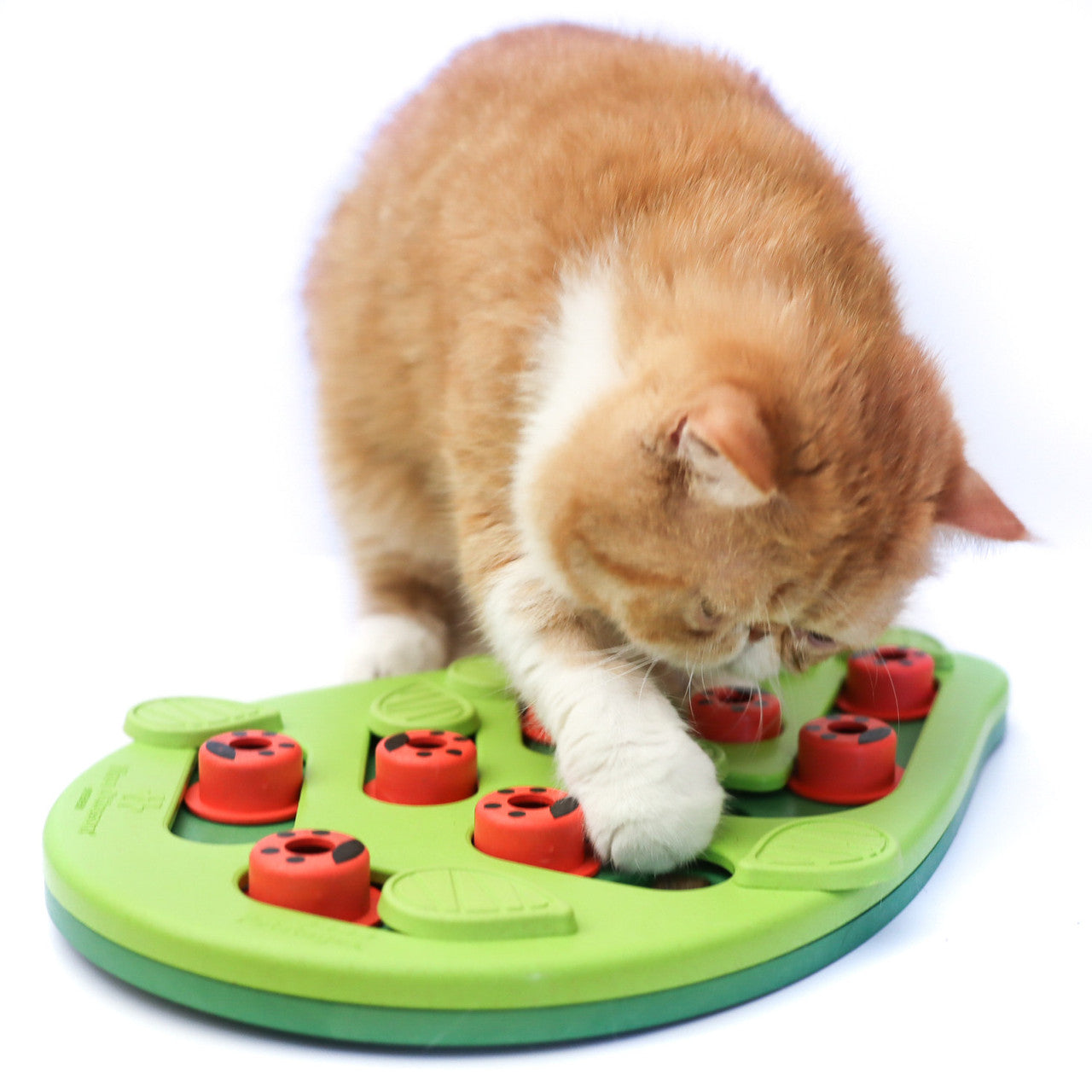 Buggin' Out Puzzle & Play Cat Game
