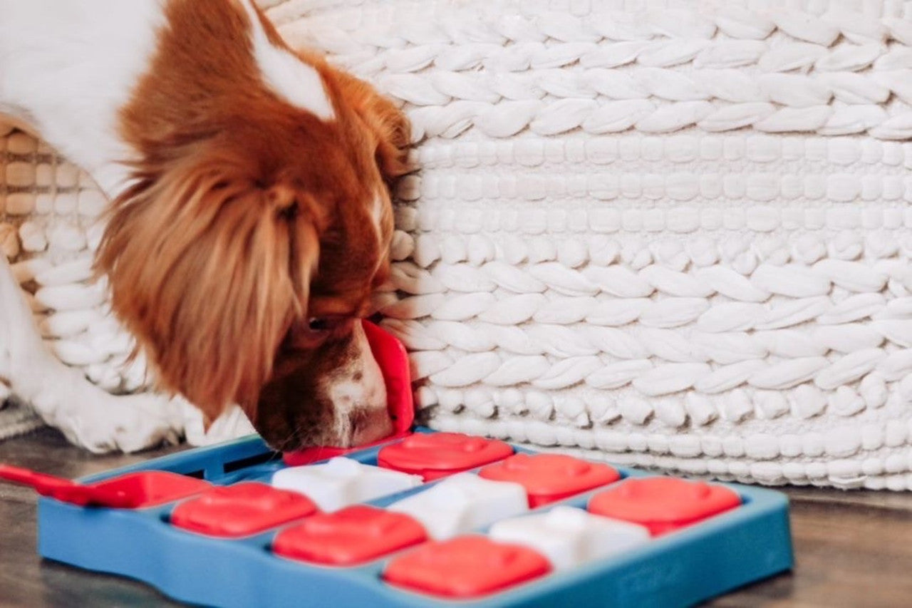 Outward Hound Dog Brick Interactive Treat Puzzle Dog Toy