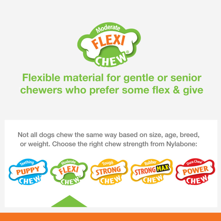 Nylabone Silver Collection Flexi Chew X-Bone Chew Toy for Senior Dogs