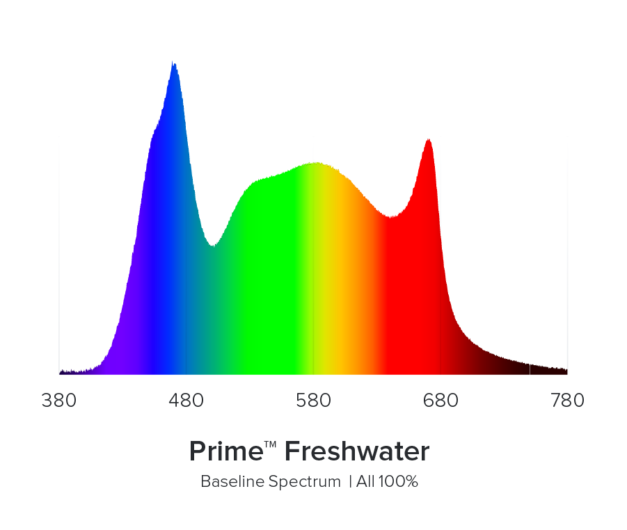AI Prime Freshwater