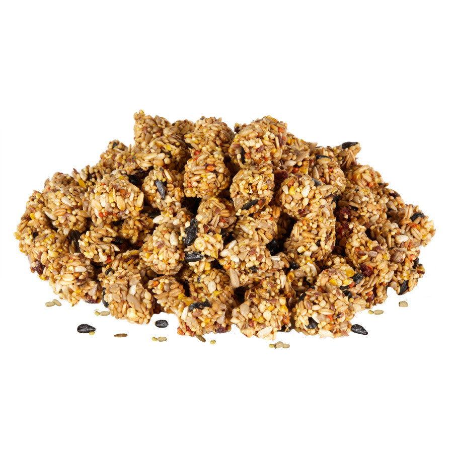 Kaytee Granola Bites with Superfoods Cranberry, Apple and Flax