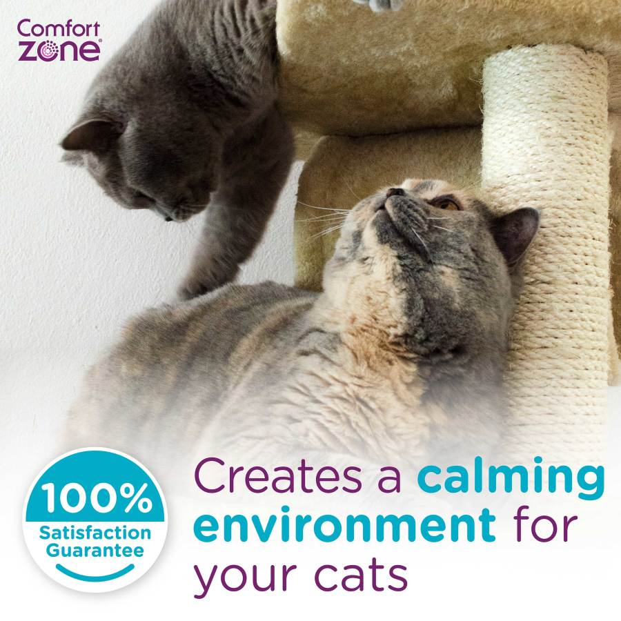 Comfort Zone Single & Multi-Cat Calming Kit