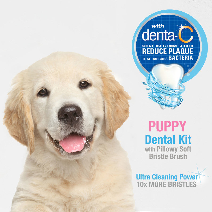 Nylabone Advanced Oral Care Puppy Dental Kit
