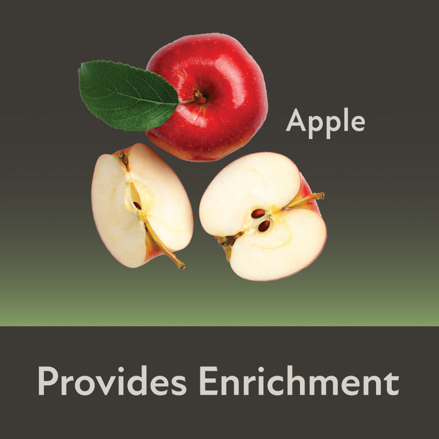 Apple Provides Enrichment