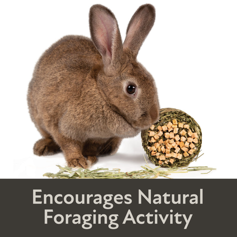 Encourages Natural Foraging Activity