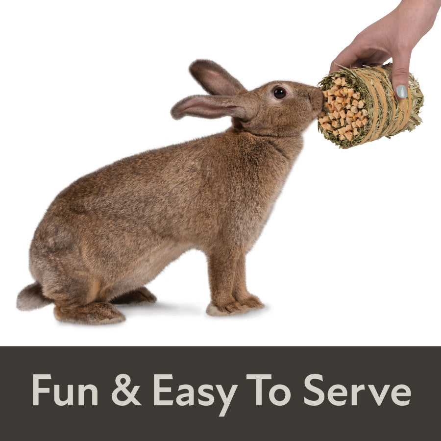 Fun & Easy To Serve