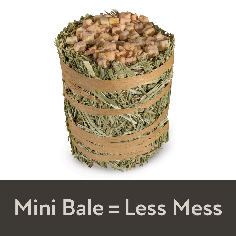 Mini Bale = Less Mess