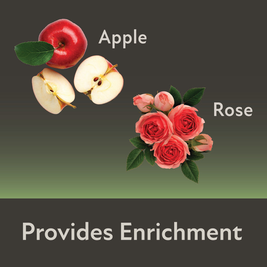 Rose and Apple Provides Enrichment
