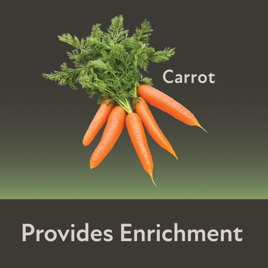 Carrot Provides Enrichment