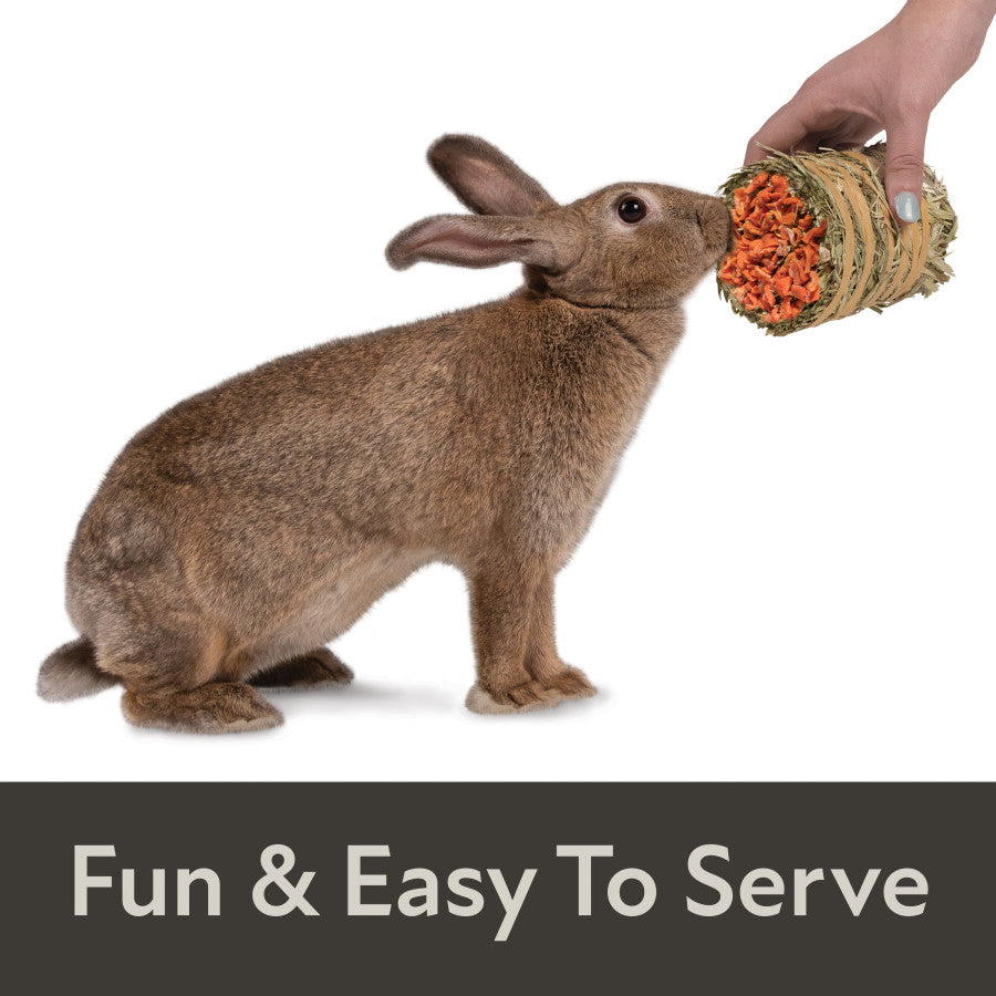 Fun & Easy To Serve