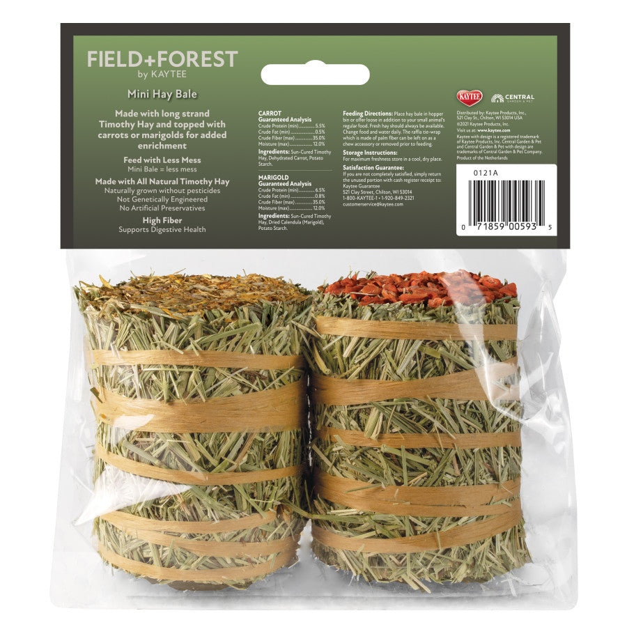 Field+Forest Mini Hay Bale Carrot & Marigold (2pk)