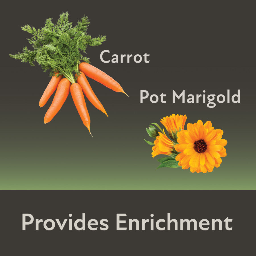 Carrot and Pot Marigold Provides Enrichment