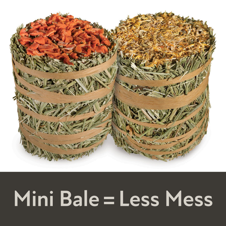 Mini Bale = Less Mess