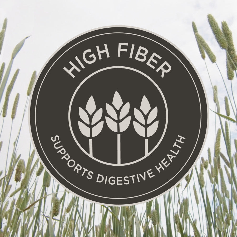 High Fiber Supports Digestive Health