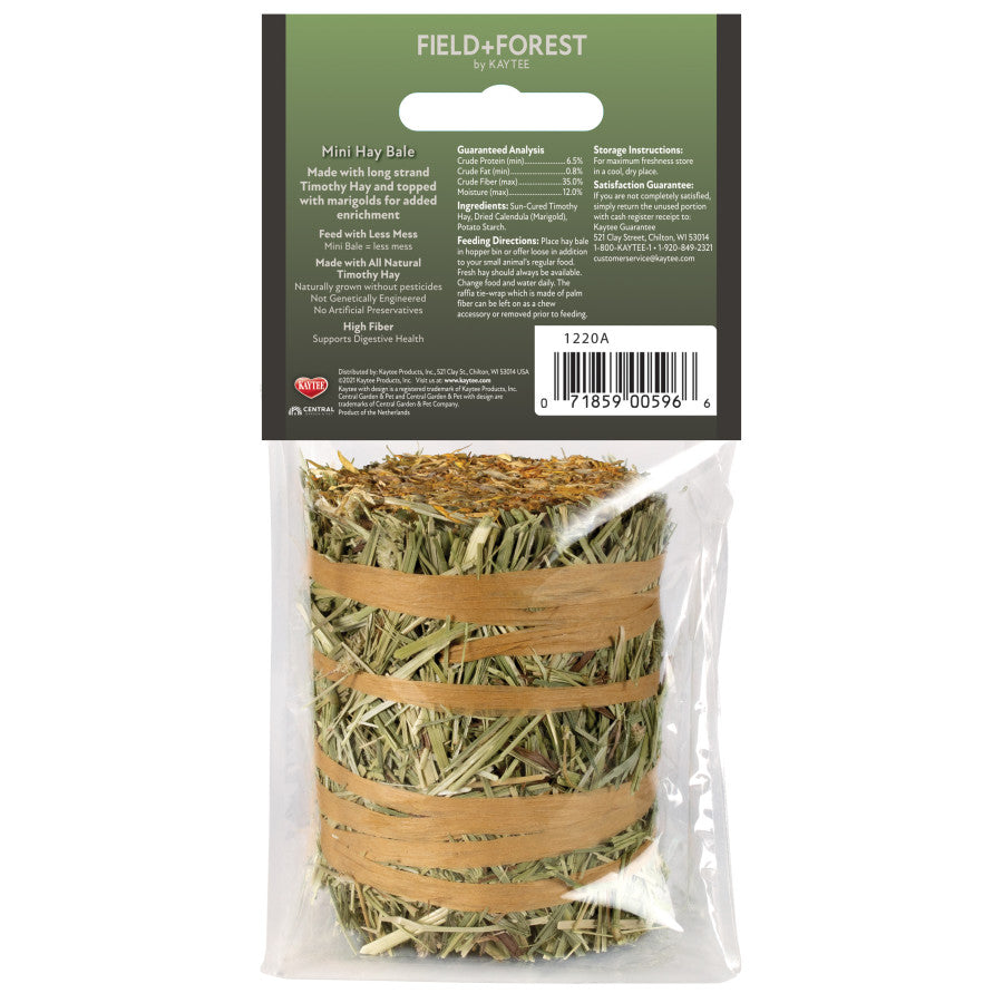 Field+Forest Mini Hay Bale Marigold (1pk)