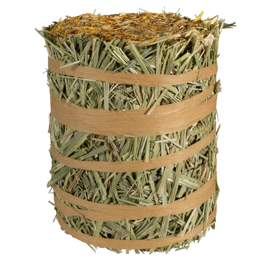 Field+Forest Mini Hay Bale Marigold (1pk)