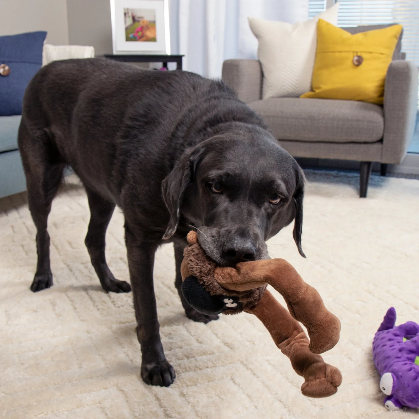 GoDog Action Plush Ape Chew Guard Technology Animated Squeaker Plush Dog Toy, Large